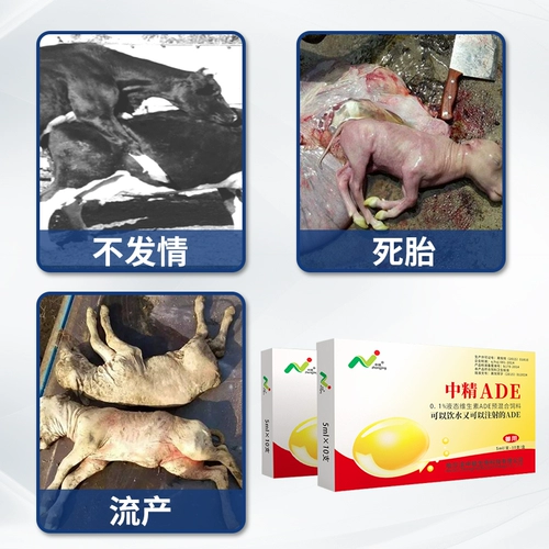 中精 Ade Beasts, способствующие овуляции и смешанным кормовым добавкам свиньи, коров, овец, овец, лошадей, домашнего скота и птицы предотвращают выкидыш и преждевременные роды