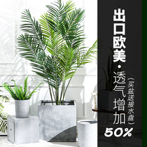 Nordic simple cement flowerpot modern style square floor large rectangular large basin living room green plant imitation large