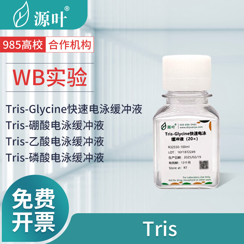 源叶TrisGlycine快速电泳缓冲液硼酸/乙酸/磷酸/甘氨酸电泳缓冲液