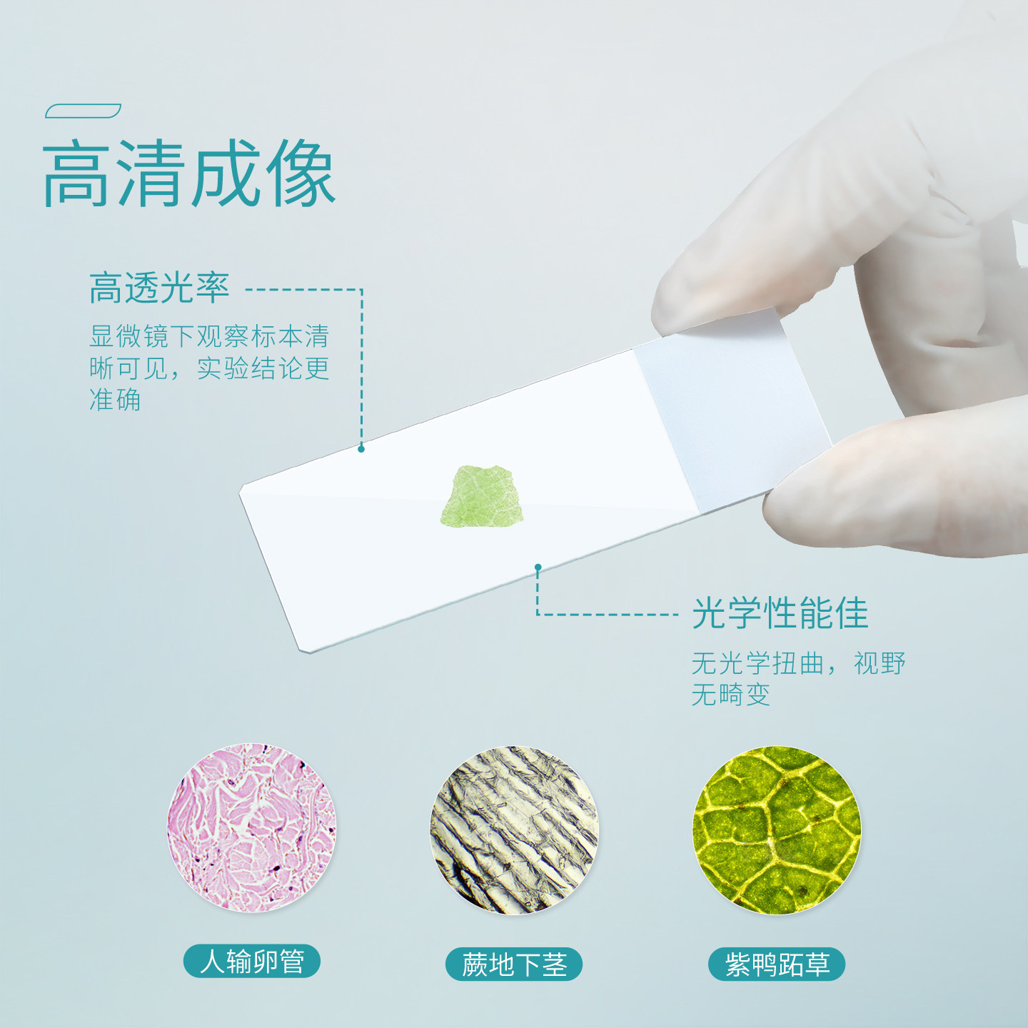 载玻片和盖玻片如何选材才能让显微镜观测更清晰？2026年最新趋势解读-载玻片-淘宝百科网