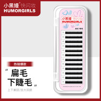 Humorgirls small black man flat hairs under the eyelashes black single double hair tip red grafted false eyelashes