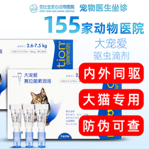 Great Favorites in vitro Insect Repellent Cat and inside Cat Great Favorites for Insect Repellent Cat Flea Flea Ticklemmites Kitty Feline Insect Repellent