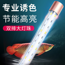 Fish tank light LED light aquarium aquatic plant lamp daylight red waterproof light pipe aquarium top cover lamp