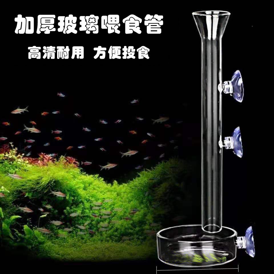 Fish tank glass feeding tube crystal shrimp feeding basin glass feeding device fish food feeding fish and shrimp feeding device feeding circle