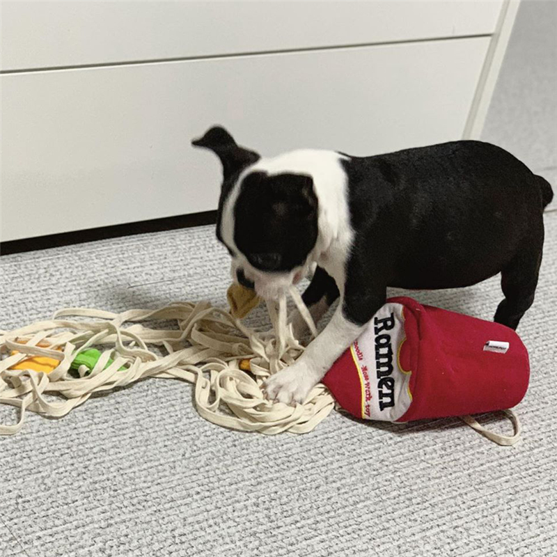 Dog toys relieve boredom artifact pet cat leakage toy small and medium-sized dog Tibetan food dog puzzle feeding slow food pad