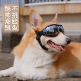 Водонепроницаемые ветрозащитные солнцезащитные очки для плавания, домашний питомец