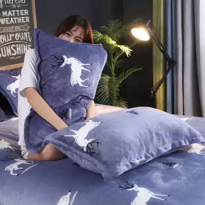 Pillow cases one pair and one Pat 2 coral fleece pillow sleeve flannel plus velvet plush pillow single pillow