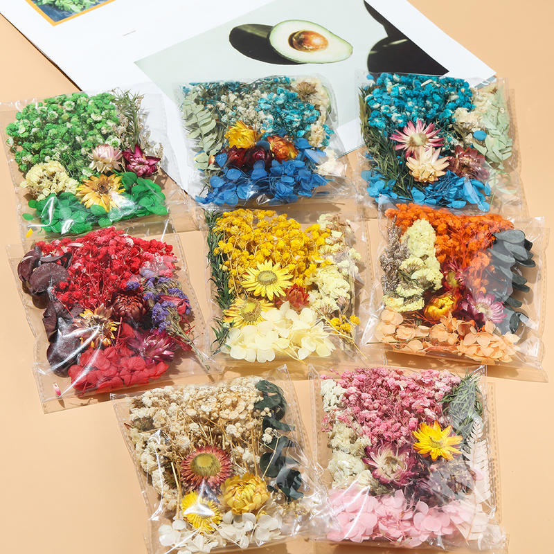 Natural Dried Flowers, Preserved Flowers, Artificial Flowers, Simulated Flower Fan Stickers, Dried Flower Greeting Cards, Photo Frames, Handmade DIY Material Kits