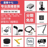 Пакет 17 м звуковая карта +797 M5