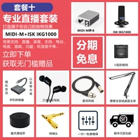 Пакет Ten M Sound Card+ISK IKG1000