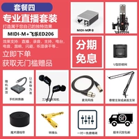 Пакет Four -m Sound Card+Feile ED206