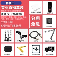 Пакет три рубалиста R2+Feile ED205