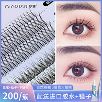 False eyelashes female single cluster natural simulation fairy hair A-type fishtail type curly comic eye self-grafting eyelashes set