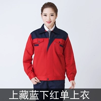 Тибетский синий Раши Дельл