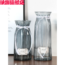 (King 30CM high) Hydroponic rich bamboo glass vase transparent Lily sown Vase ornaments living room Nordic