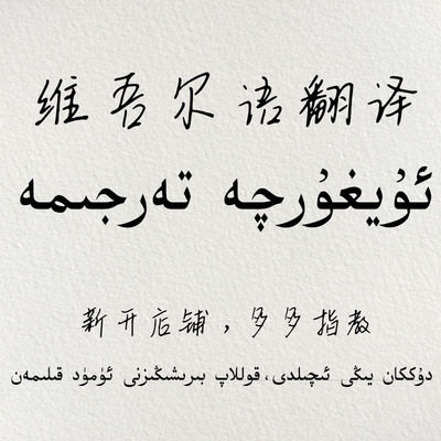 Weiwen translation Vivan translation Mutual translation of uyghur Vihan Dictionary software Chinese translation Vilanguages guarantee quality