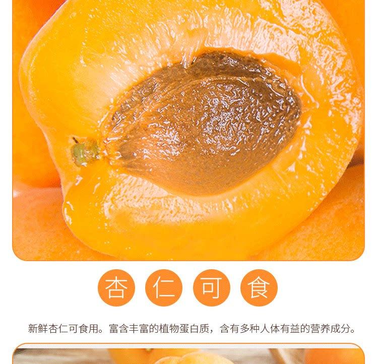 留香岛 山西 金太阳大黄杏 5斤 图9