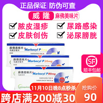 Mafo delicious tablets 20mg80mg mabofloxacin tablets cat and dog skin disease pus folliculitis bladder postoperative anti-inflammatory