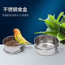 Starling pigeon Parrot bird food box hanging stainless steel bird Cup parrot feeder with cup holder bird cage accessories