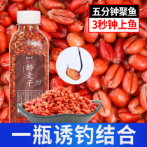Drunken wheat grain wheat carat fishing bait wild fishing Formula playing nest carp carp carp grass carp adhesive hook particles