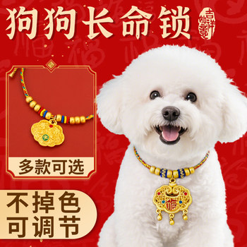 Dog Gold Lock Longevity Collar for Small and Medium-Sized Dogs, Silent Pet New Year Gold Necklace, Peace Lock Neck Collar Accessory
