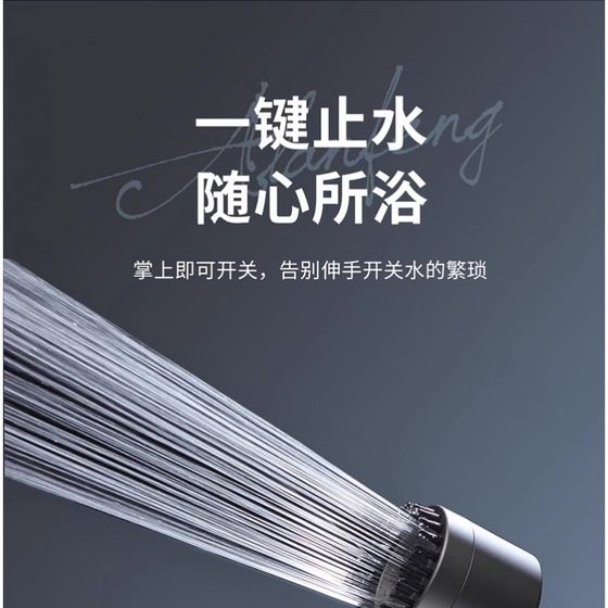 戴喷德国强劲增压喷头浴室洗澡加压过滤淋浴头喷雾沐浴莲蓬头花