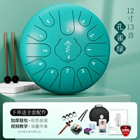 12 -INCH 13 SOUND PEACOCK GREEN+аксессуары