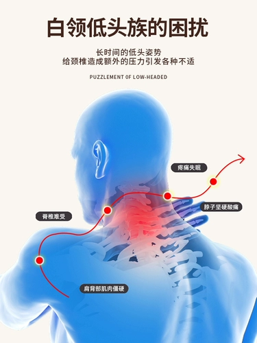 Шейки матки