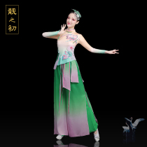 Classical Dance out of the womens Elegant Dance Costume Summer Dance Costume Classical Dance Rice Sprout Songs Costumes New Suits