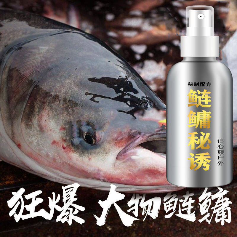 Silver carp and bighead bait additive flower silver carp white silver carp big head fish male bait wild fishing reservoir bait fat head fish square bait