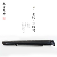 Tianyin -Changyin -Zhengyin (Spot)