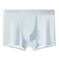 4 pieces of ice silk mens underwear boys seamless antibacterial boxer briefs mens thin style new breathable boxer shorts