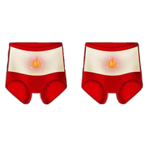 Warm Palace Warm Underwear Womens Winter Thickened Tummy Protection High Waist Tummy Control Triangle Shorts Large Size Plush Underwear