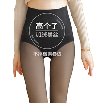 Tall black stockings bare legs artifact womens fall and winter extra long fake see-through pantyhose plus velvet black see-through leggings