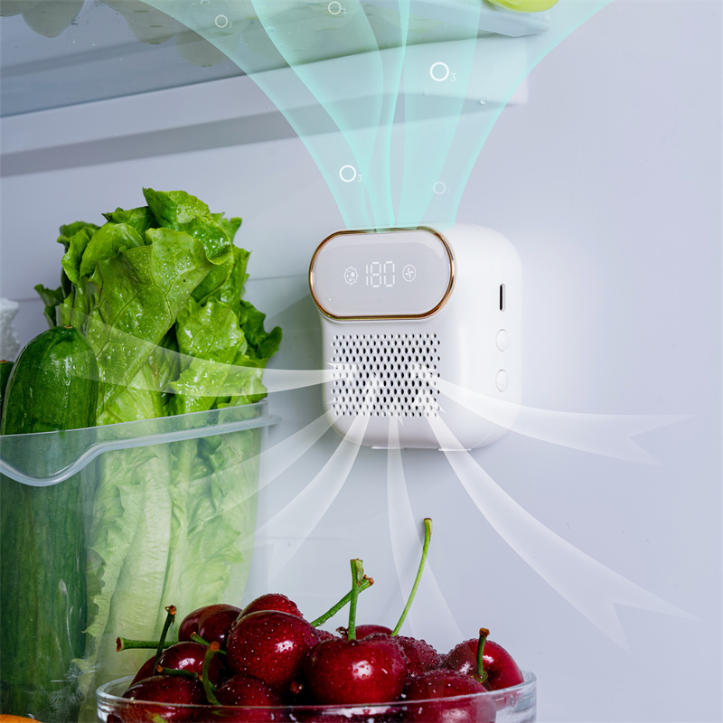 Smart refrigerator home with sterilization deodorant wardrobe cabinet to odor air purifier ozone disinfectant deodorant machine