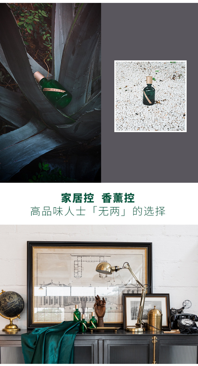 DAILY LAB 室內香薰無兩系列 無火香氛輕奢臥室內助眠祛異味香薰100ml 柑橘想泡茶