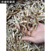 Cat snacks unsalted natural dried fish meat strips fresh fresh water fish dried cat food molars snacks cat dried small fish