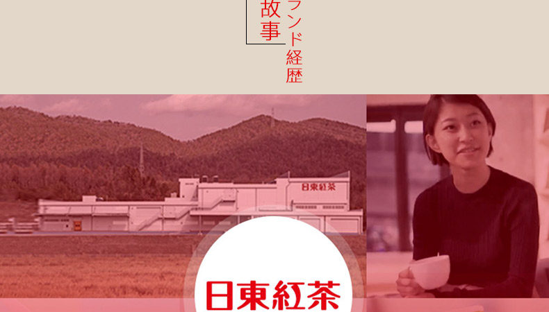 【日本直邮】日东红茶 皇家奶茶醇香奶茶 14g×8条