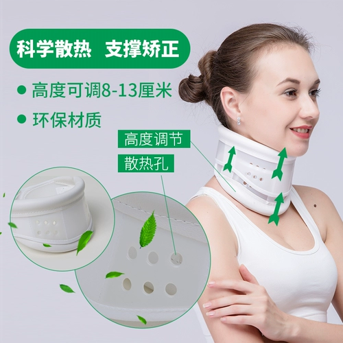 Шейки матки шейки матки