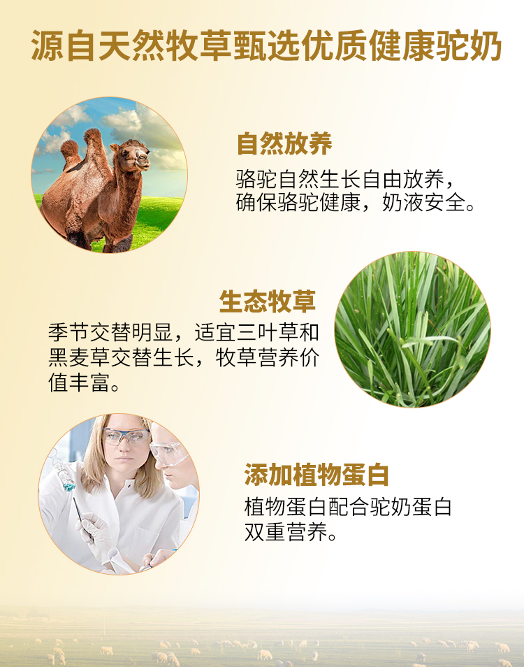 存礼堂骆驼蛋白质粉奶粉