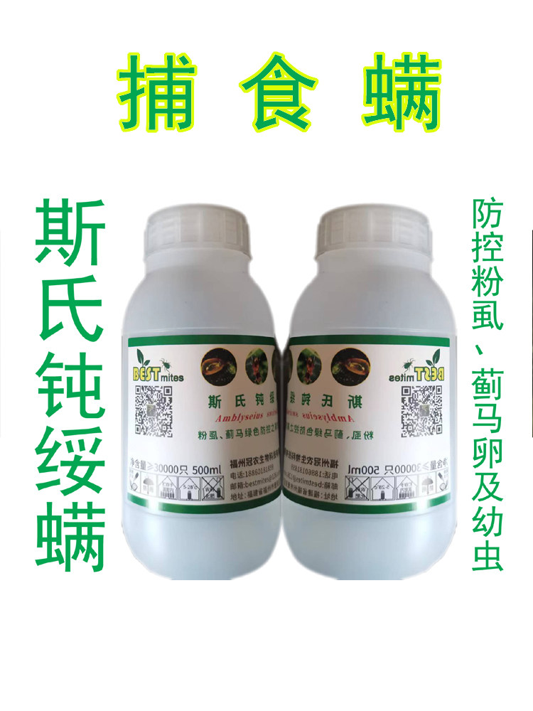 斯氏钝绥螨是如何成为防治粉虱蓟马的有效天敌？它适合哪些环境应用？ 捕食螨寄生蜂 淘宝好物网 