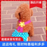 Санитарные сукинговые штаны Женская собака физиологическое преследование Небольшое антирафуальное дело Фах