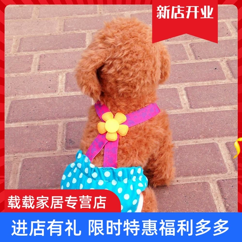 Санитарные сукинговые штаны Женская собака физиологическое преследование Небольшое антирафуальное дело Фах