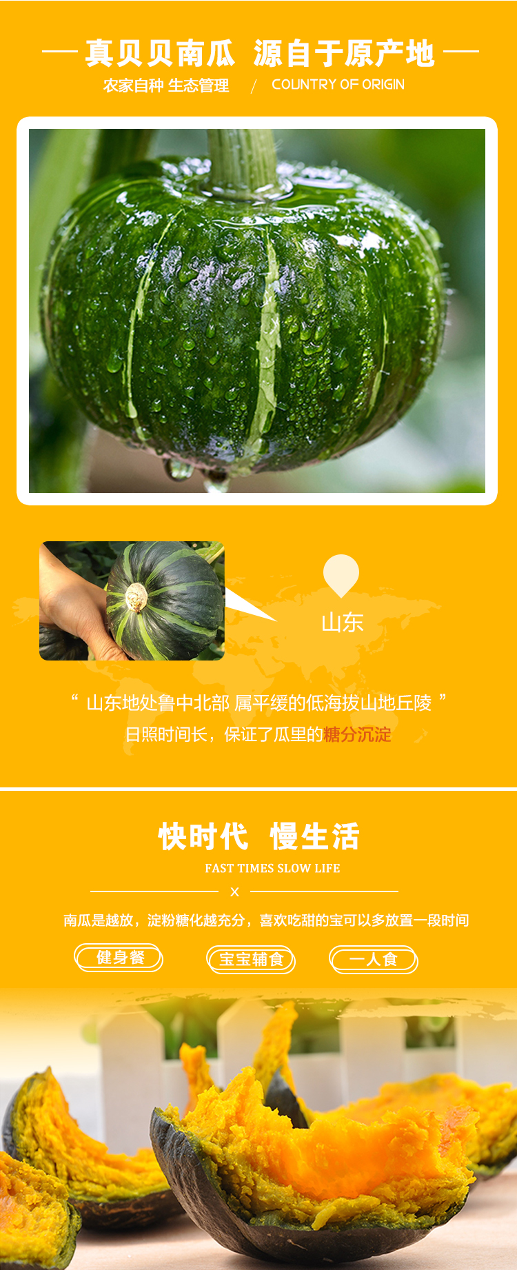 贝贝南瓜 板栗味小南瓜 5斤 8-15个 图3
