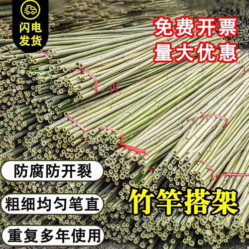 Бамбуко -полюсный овощной сад разместит овощи огурцы томатные бобовые рог, бамбуковый забор, маленький бамбук, бамбуковый полюс, скалолазание скалолаза