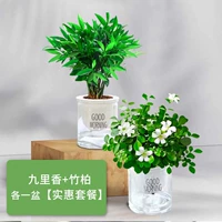 Средство от комаров из бамбука и кипариса + благовония Гури + тазик «Доброе утро» + питательный раствор