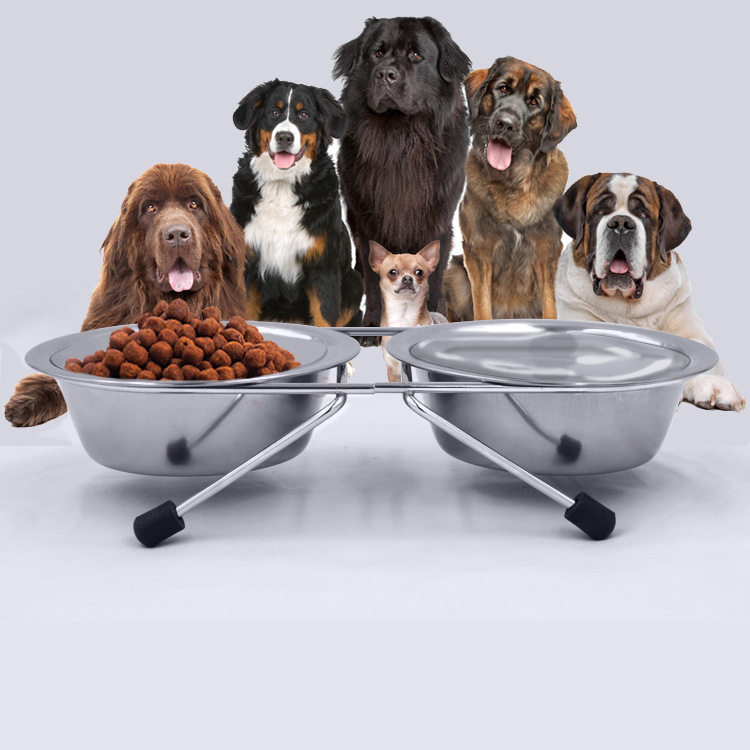 Pet bowls stainless steel pooch bowls non-slip with bracket small medium large canine double bowls double food basin kittens drinking water