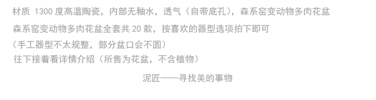多肉花盆复古做旧窑变简约粗陶瓷可爱卡通乌龟动物肉肉盆栽小花盆 盛江名瓷在线