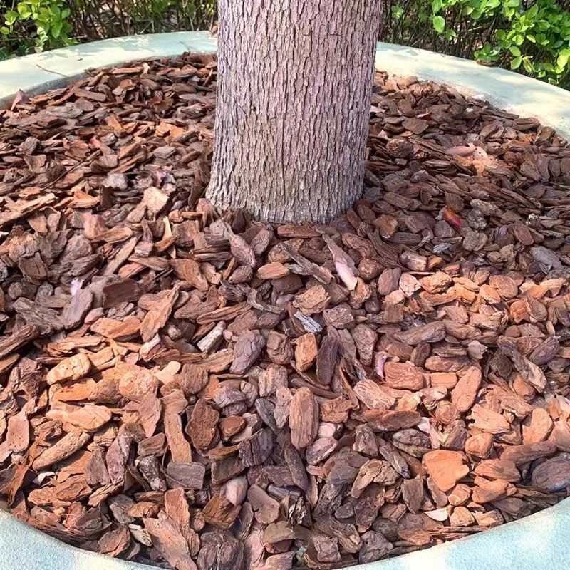 Pine Tree Bark Mulch for Playgrounds, Organic Tree Pits and Holes, Weed Suppression in Gardens, Large Fermented Granules for Ground Cover Pine Tree Bark Mulch for Playgrounds, Organic Tree Pits and Holes, Weed Suppression in Gardens, Large Fermented Granules for Ground Cover
