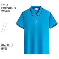 867 Озеро Блю